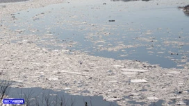 Подъем уровня воды продолжится  на реке Чая в Томской области