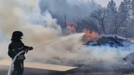 Пожарные отстояли спортивный лагерь и дачи в Забайкалье