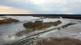 В селе Абатское Тюменской области уровень воды в Ишиме достиг 1208 сантиметров