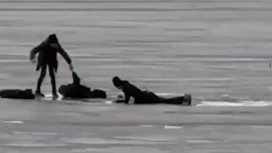 In St. Petersburg, four children fell under the ice