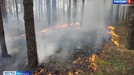 В Ивановской области введен особый противопожарный режим