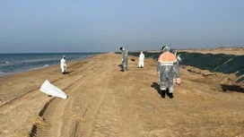 In Anapa again found emissions of fuel oil on the sea