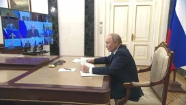 Путин дал поручения МВД и правительству по борьбе с кибермошенниками