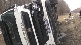 Под Новосибирском люди пострадали в аварии микроавтобуса и грузовика