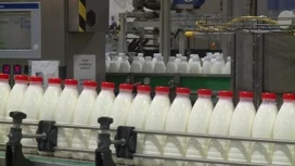 Rospotrebnadzor: el porcentaje de falsificación en el campo de la leche disminuyó diez veces