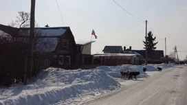 Residents of the Tyumen village are concerned about the number of stray dogs