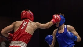 No Palácio dos Esportes "Manege" será realizado o campeonato de boxe NCFO entre os jovens 13-14 anos