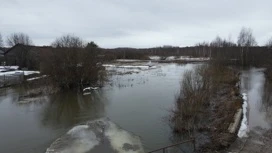 In the Yaroslavl region from the middle of the week is expected to rain