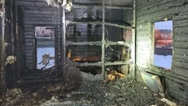 The nursery of Burmese cats “Cat house” burned down in Izhevsk