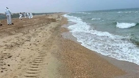 On Anapa beaches recorded new emissions of fuel oil