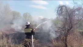 МЧС напоминает об опасности весеннего пала травы