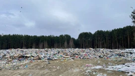 Властей Кедрового в Томской области обязали обустроить полигон для твердых отходов