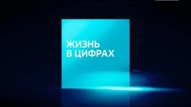 Жизнь в цифрах: годовая инфляция в Красноярском крае третий месяц остается без изменений