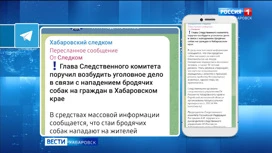 Уголовное дело поручил возбудить Александр Бастрыкин после нападения собак на жителей Комсомольска