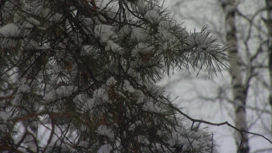 Gran nevada causó mermeladas de tráfico en Krasnoyarsk