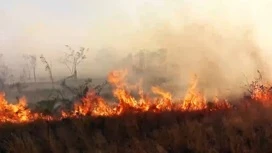 4 класс пожароопасности введен на Кубани