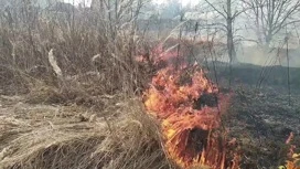 Dans la région de Yaroslavl a commencé à brûler l'herbe sèche