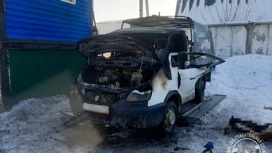 A man burned alive in a car in the Tomsk region