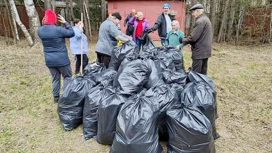 В Сыктывкаре пройдут общегородские субботники "Зеленая весна – 2024"