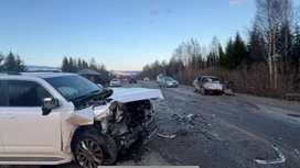 Два человека погибли в ДТП на трассе "Ижевск – Ува" в Удмуртии