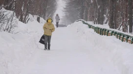 Снежный циклон пришел на побережье Магаданской области