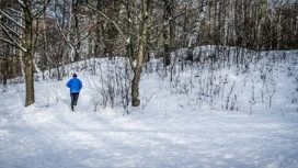 Frost almost to -20 degrees recorded in the suburbs on the night of February 23