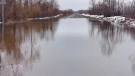 Движение закрыто на подъезде к переправе в Колпашеве из-за перелива дороги