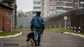 Томский военнослужащий за уклонение от службы получил 7 лет колонии