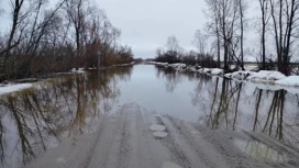 В Томской области на Оби начался ледоход