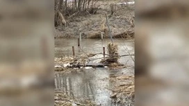 В одном из сел Переславского района из-за половодья снесло единственный мост через реку