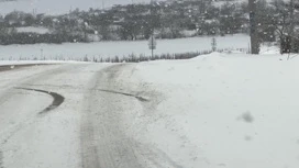 Sochi'de, otoyolda yedi kişi yaralandı