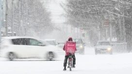 ペテルブルクで電動自転車の配達員に対する制限が導入される予定です。