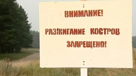 В Ярославской области начинается пожароопасный сезон: что под запретом