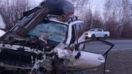 Мужчина и его несовершеннолетний ребенок погибли в ДТП под Саратовом