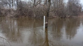 Участок автодороги в Кезском районе Удмуртии ушел под воду