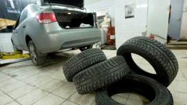 فيلفاند نصح Muscovites not to change winter tires