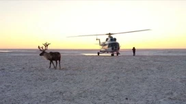 В ЯНАО пройдет конкурс на лучшее видео об округе с призами до 1,5 млн рублей