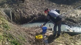 Из ручья в поселке Дудкино в Ярославле взяли пробы воды