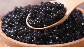 Dois principais gerentes de Salavat foram detidos por tentar tirar caviar de Khabarovsk