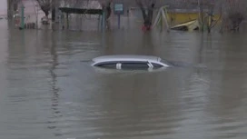 Режим ЧС ввели из-за паводка в Курганской области