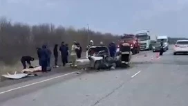 Три человека стали жертвами ДТП на федеральной трассе в Волгоградской области