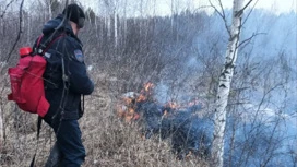 Амурские пожарные борются с огнем на четырех лесных пожарах