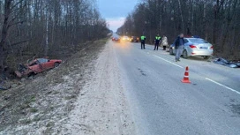 В Серпухове возбуждено уголовное дело после ДТП, в котором погибли двое детей