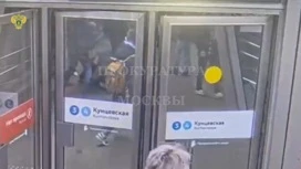 Избиение пассажира в московском метро попало на видео