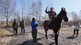 Конные добровольческие пожарные дружины патрулируют тюменский поселок и его окрестности