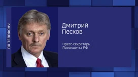 Песков прокомментировал нападение на Чибиса