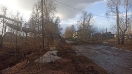 Семье пострадавшего от падения дерева подростка в Тутаеве окажут поддержку и финансовую помощь