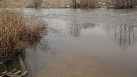 Под Липецком пропавшего перед Новым годом мужчину нашли утонувшим