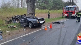 Три человека погибли в ДТП с большегрузом под Калининградом