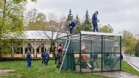 Парки Москвы закрыли из-за сильного ветра